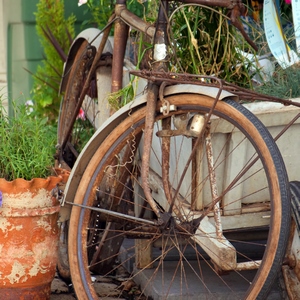 Vélo rouillé posé sur une brouette an milieu de pots de plantes - France  - collection de photos clin d'oeil, catégorie clindoeil